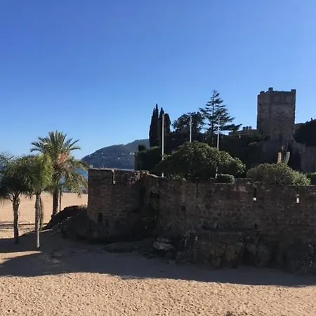 Magnifique Piscine, Verdure Proche Mandelieu